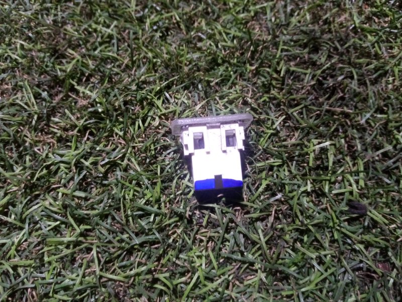 Плафон салонный