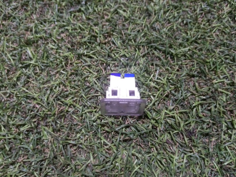 Плафон салонный