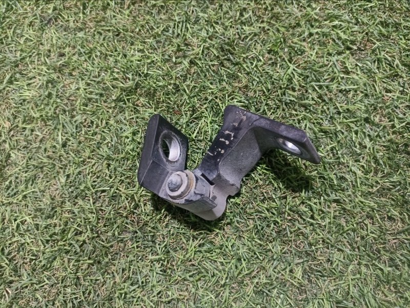 Петля двери передней правой нижняя