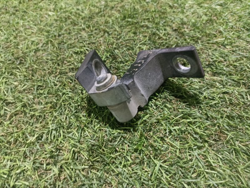 Петля двери передней правой нижняя