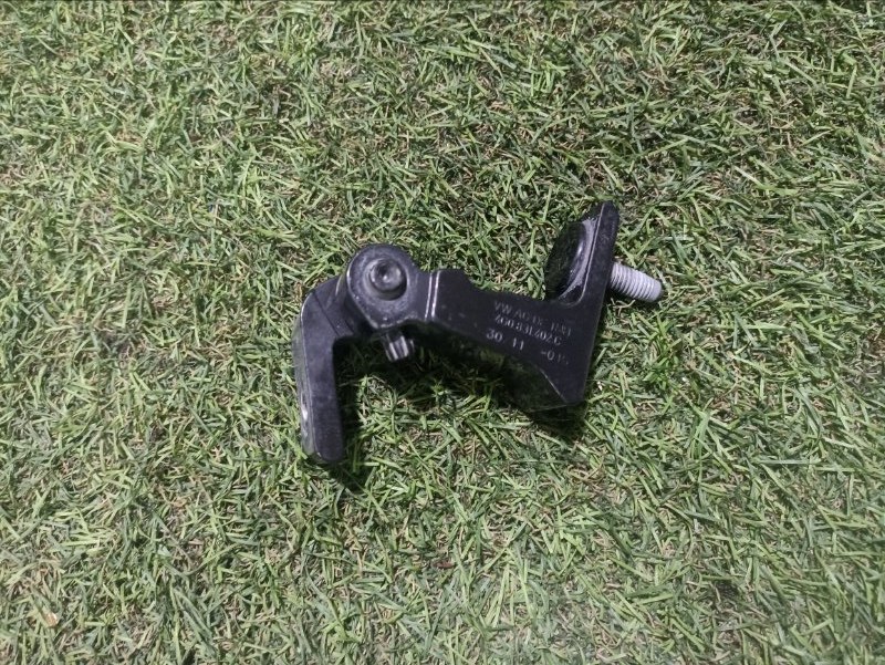 Петля двери задней правой верхняя