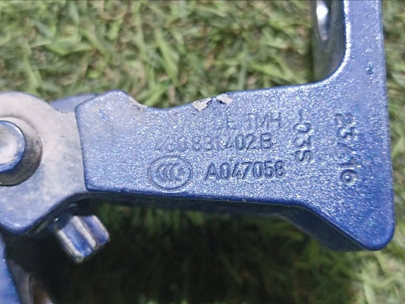 Петля двери передней правой нижняя