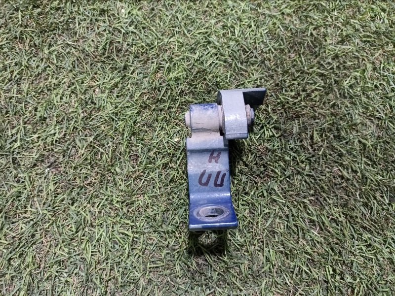 Петля двери передней правой нижняя