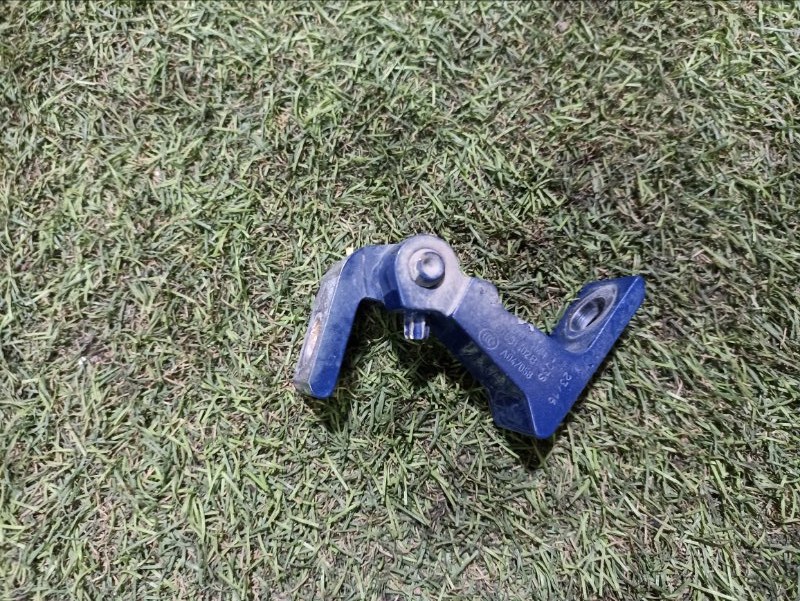 Петля двери передней правой нижняя