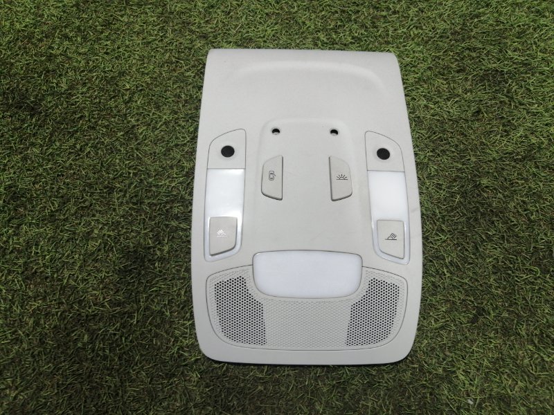 Плафон салонный