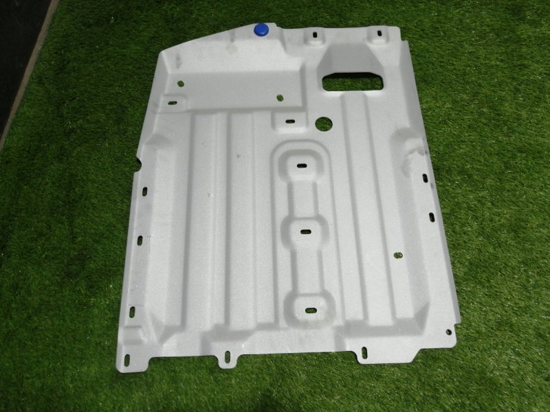 Защита картера