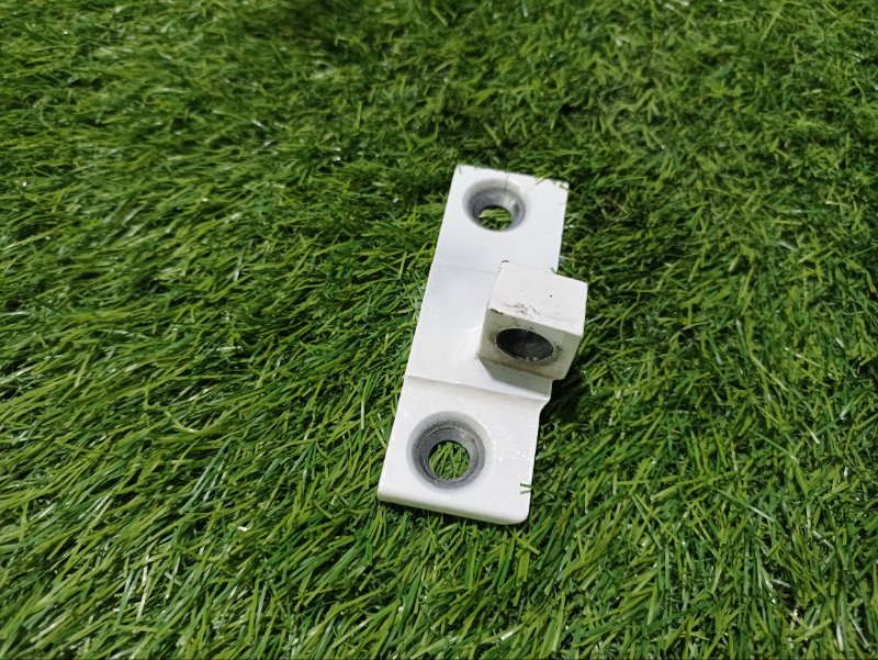 Петля двери передней правой нижняя