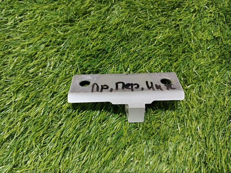 Петля двери передней правой нижняя