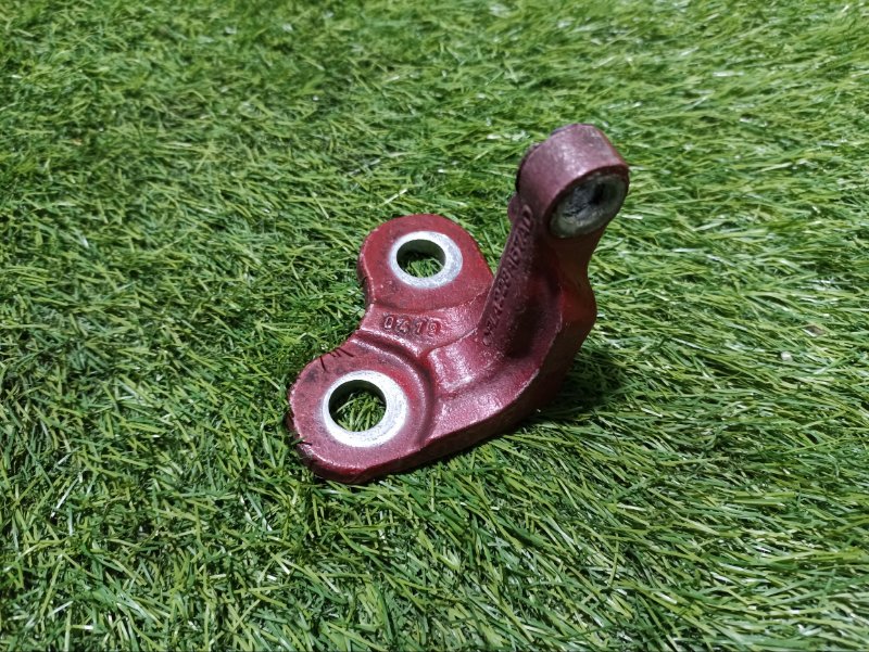 Петля двери передней левой нижняя