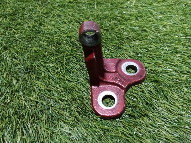 Петля двери передней левой нижняя