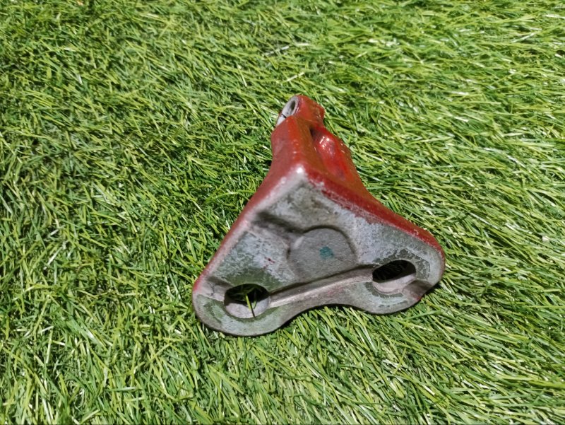 Петля двери передней левой нижняя