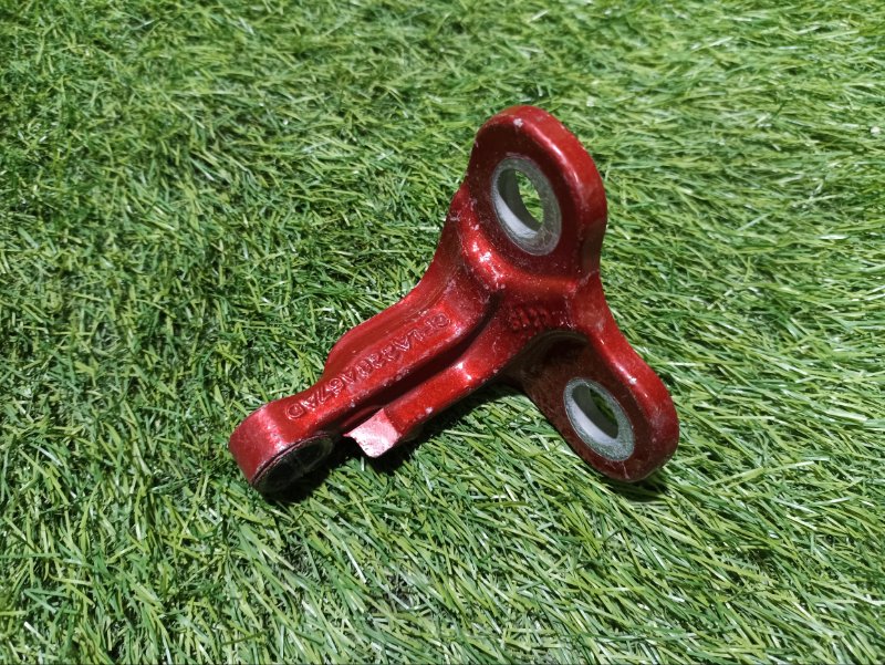 Петля двери передней левой нижняя