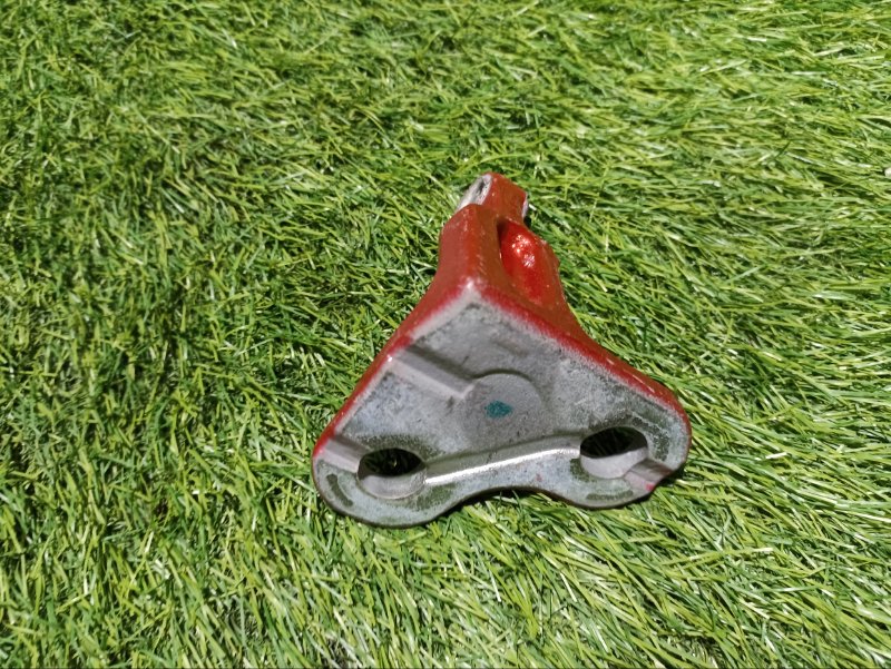 Петля двери передней левой нижняя