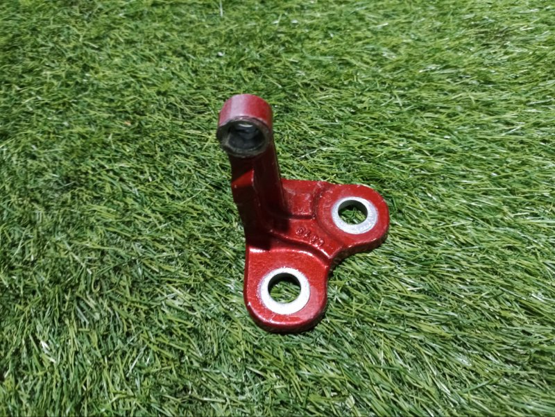 Петля двери передней левой нижняя