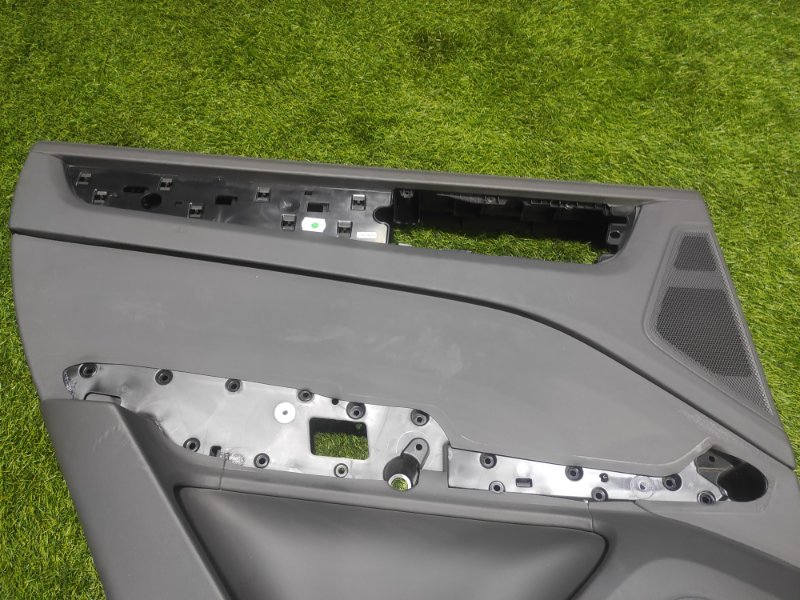 Обшивка двери задней левой