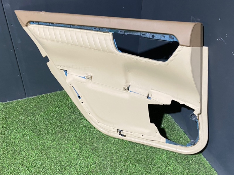 Обшивка двери задней левой