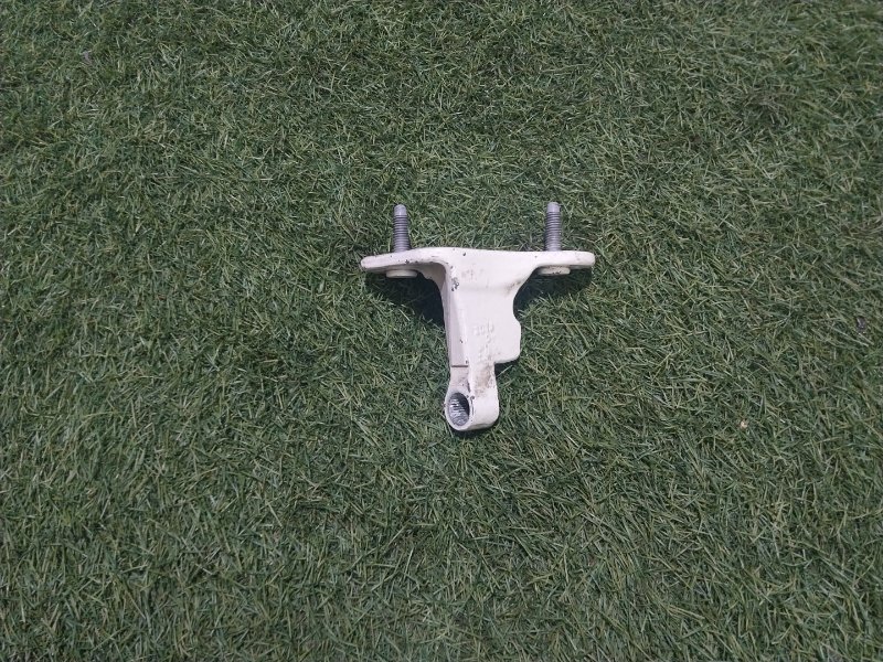 Петля двери