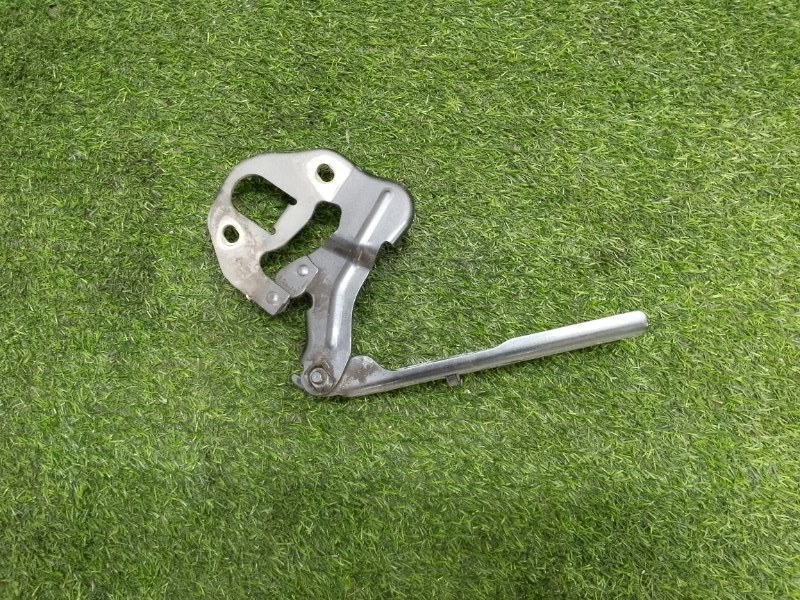 Петля капота левая