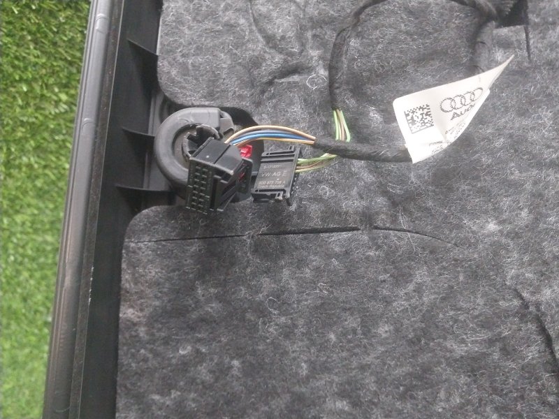 Обшивка двери задней левой