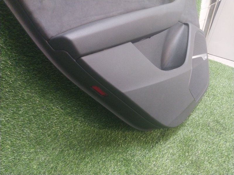 Обшивка двери задней левой