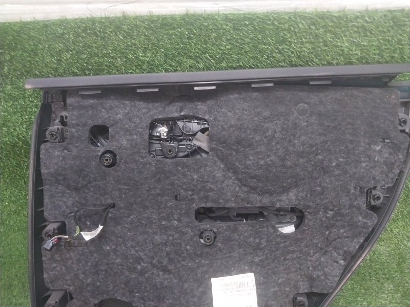 Обшивка двери задней левой