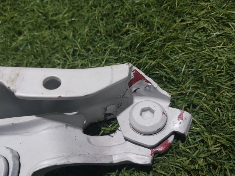 Петля капота правая