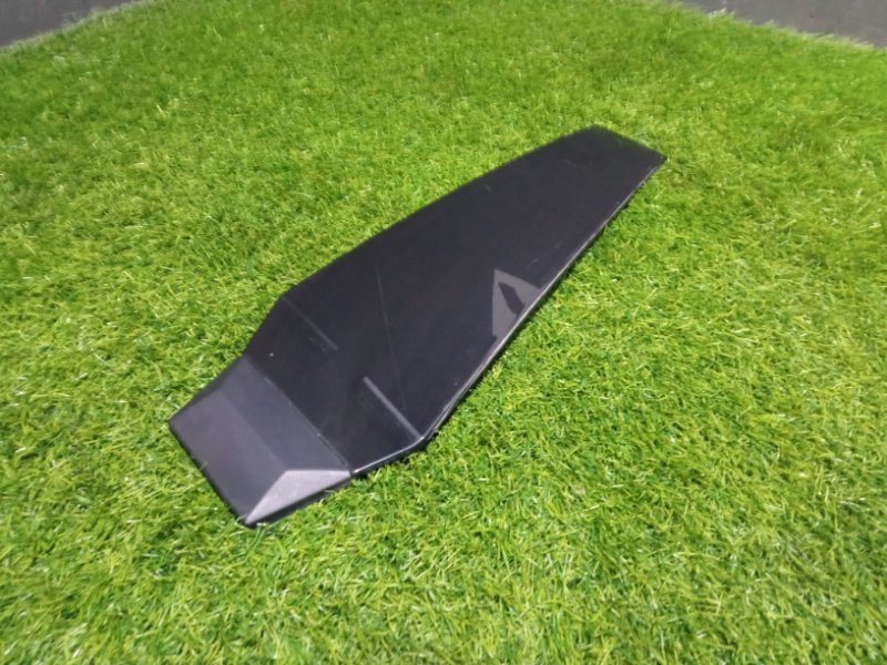 Накладка (кузов наружные)