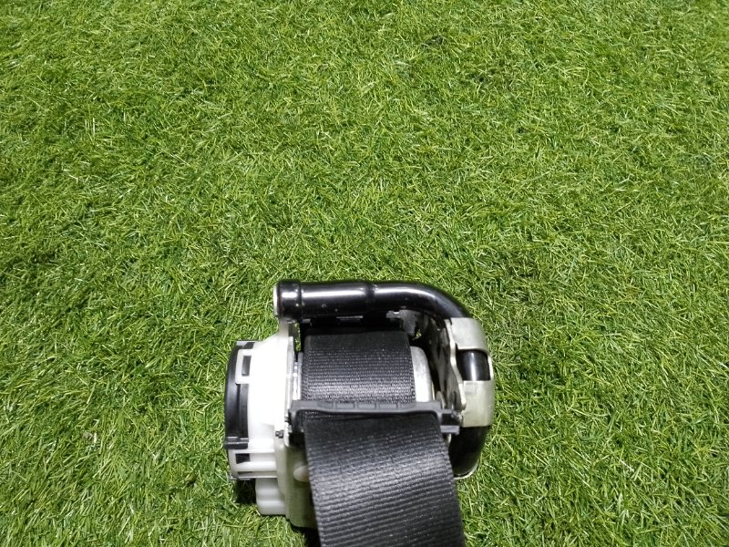 Ремень безопасности