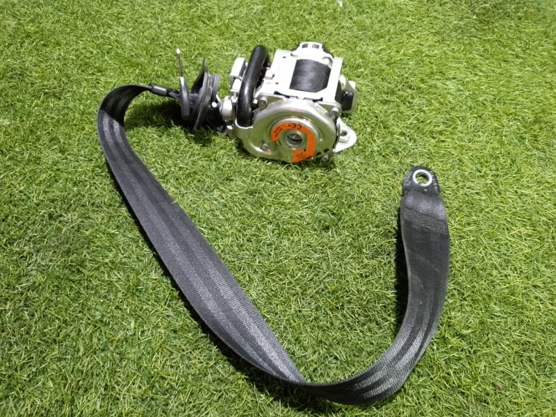 Ремень безопасности