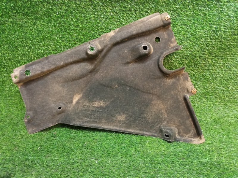 Защита антигравийная левая