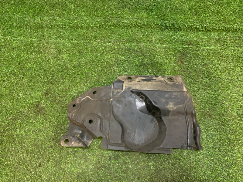 Защита антигравийная левая