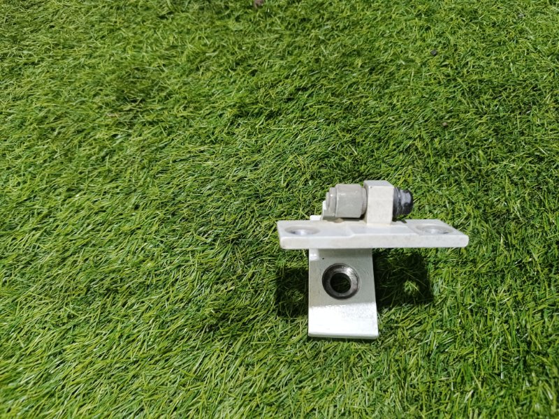 Петля двери передней правой нижняя