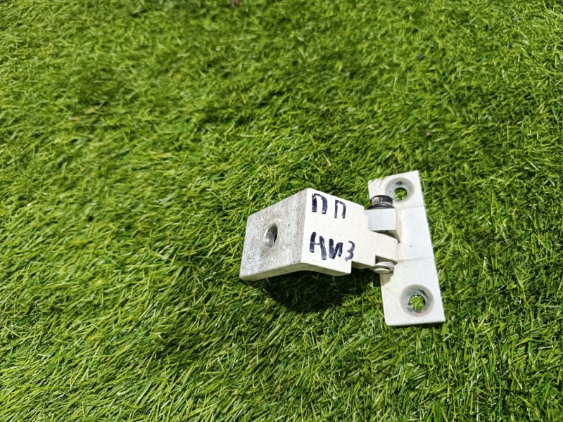 Петля двери передней правой нижняя