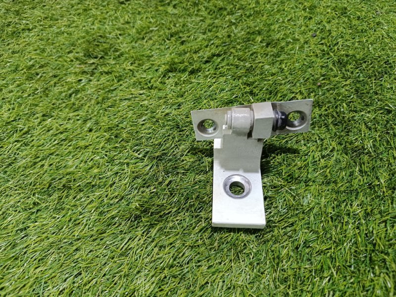 Петля двери передней правой нижняя