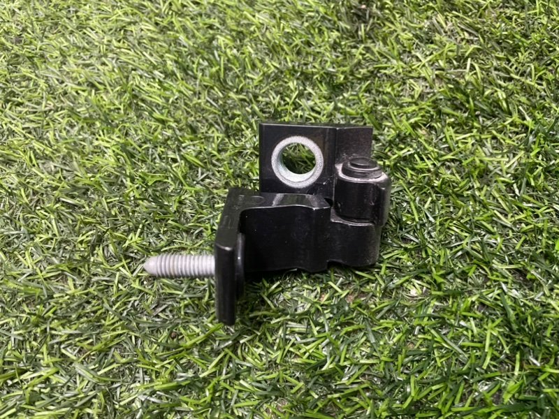 Петля двери