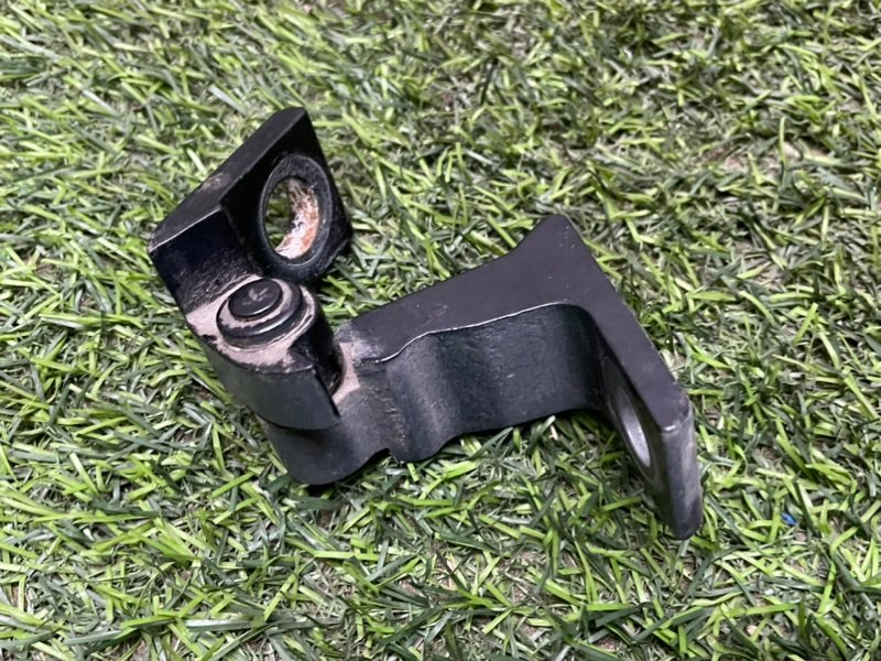 Петля двери передней правой нижняя