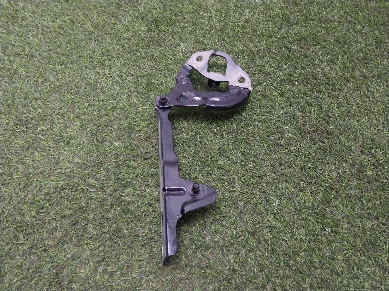 Петля капота левая