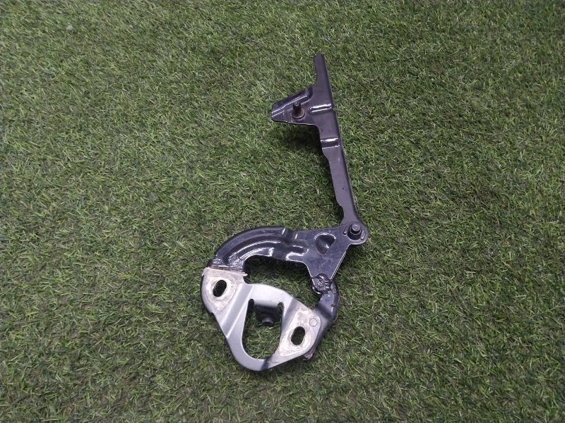 Петля капота левая