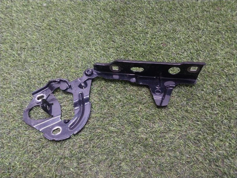 Петля капота левая