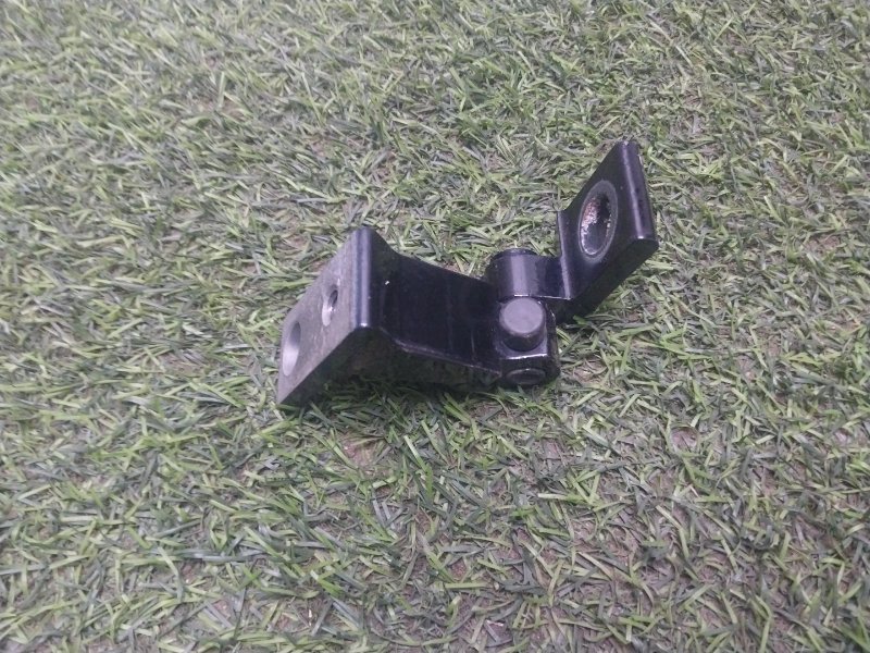 Петля двери передней правой нижняя