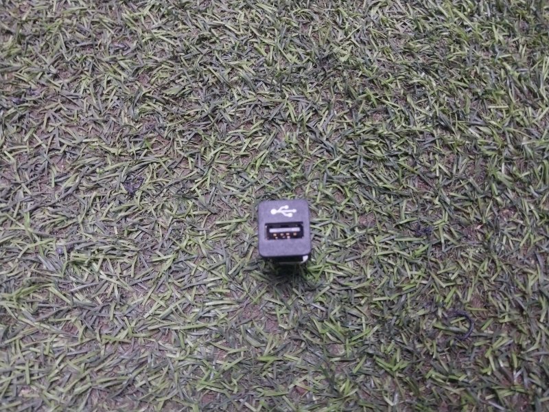Гнездо AUX / USB IN