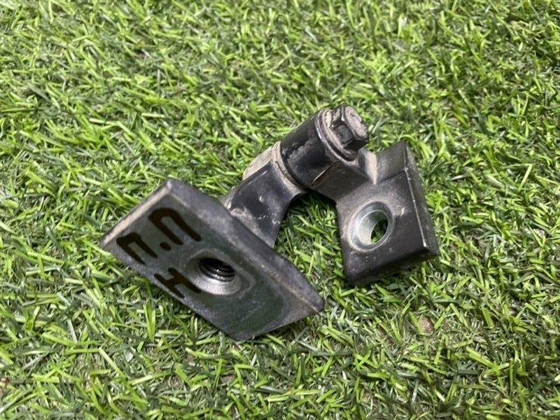 Петля двери передней правой нижняя