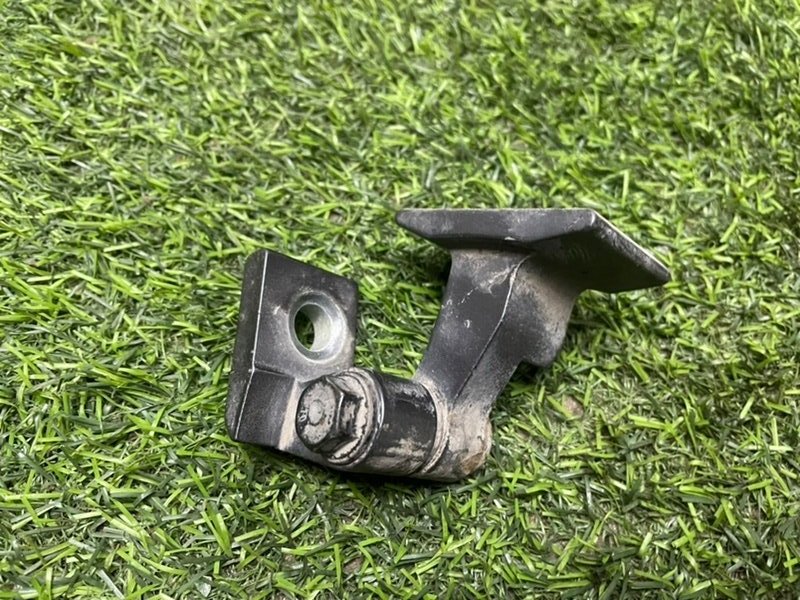 Петля двери передней правой нижняя