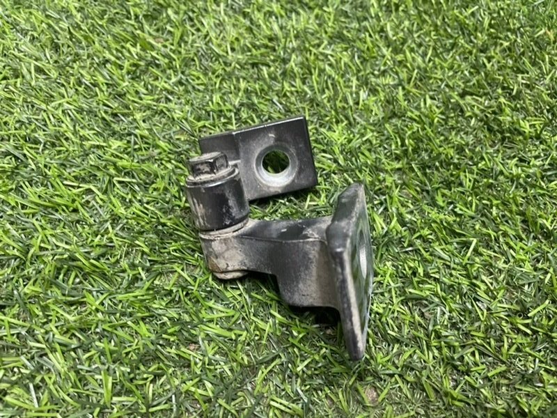 Петля двери передней правой нижняя