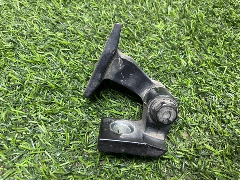 Петля двери передней правой нижняя