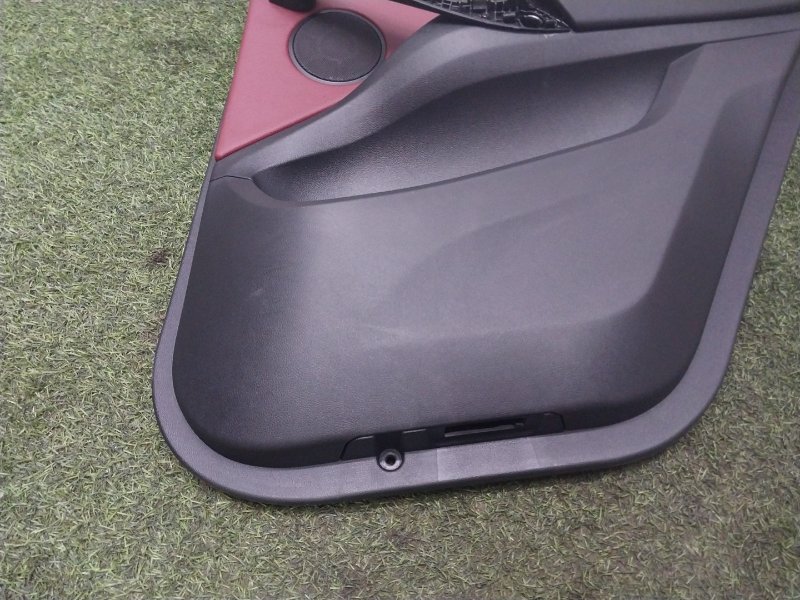 Обшивка двери задней правой