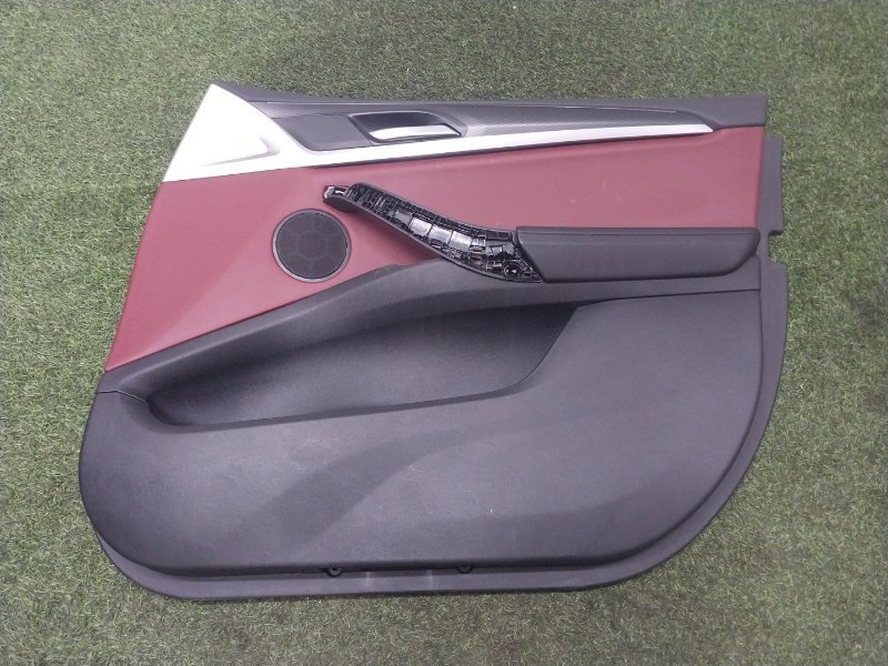 Обшивка двери передней правой