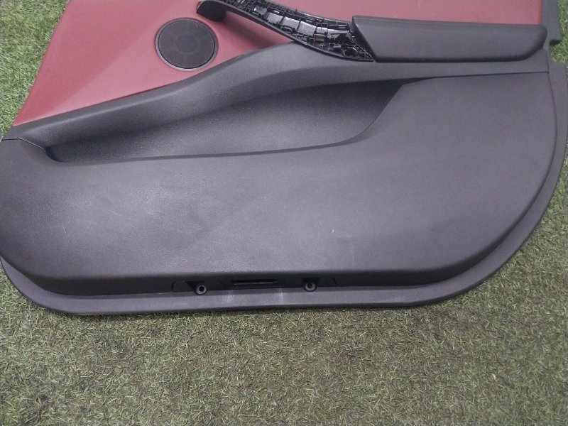 Обшивка двери передней правой