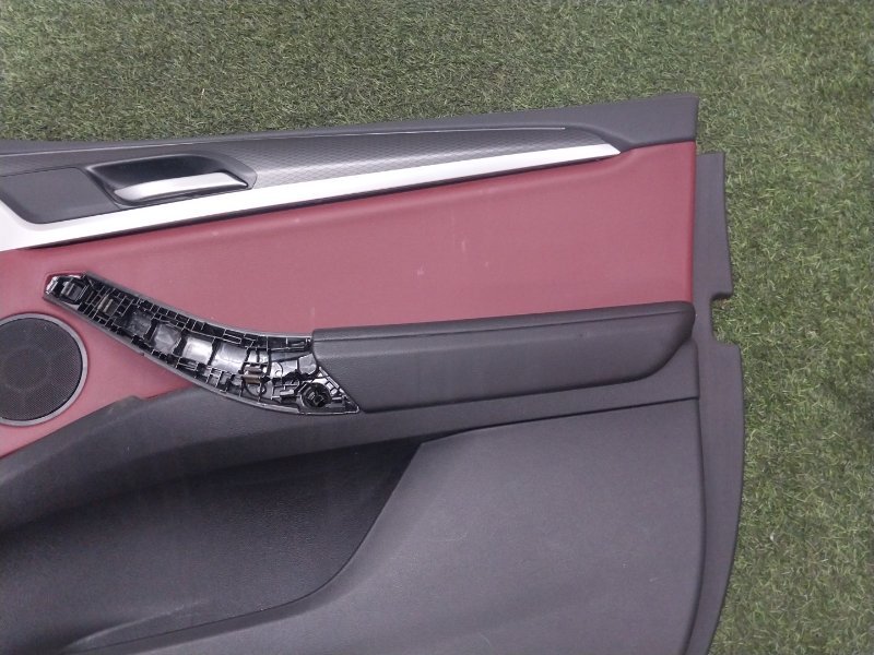 Обшивка двери передней правой