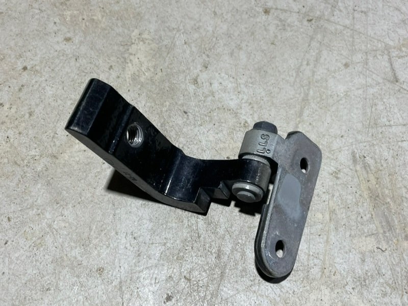 Петля двери задней левой нижняя